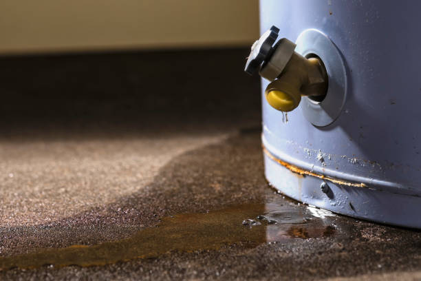 Best Water damage restoration near me  in Perry Hall, MD