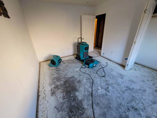Best Fire Damage Restoration  in Perry Hall, MD