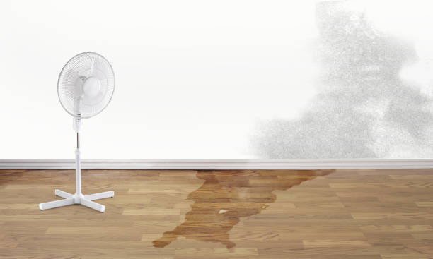 Best Residential water damage restoration  in Perry Hall, MD