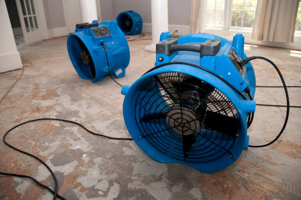  Perry Hall, MD Water damage restoration Pros