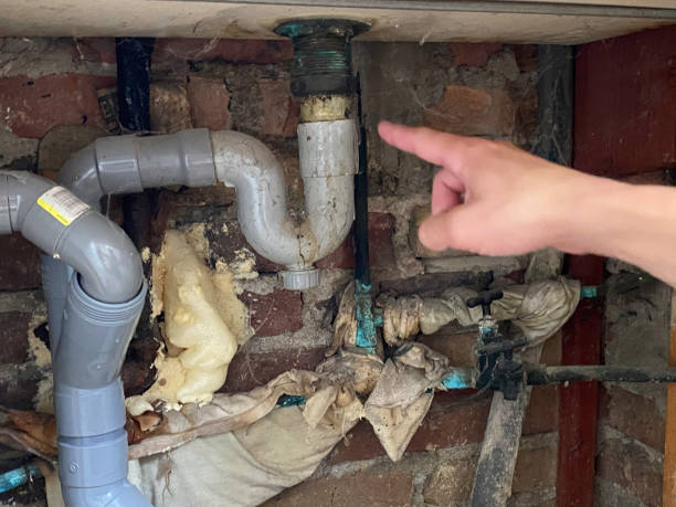 Best Flooded house restoration  in Perry Hall, MD