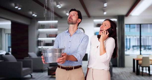 Best Water damage restoration process  in Perry Hall, MD
