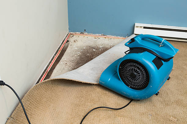 Best Emergency water damage restoration  in Perry Hall, MD